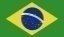 La imagen tiene un atributo ALT vacío; su nombre de archivo es bandera-brasil-5.jpg